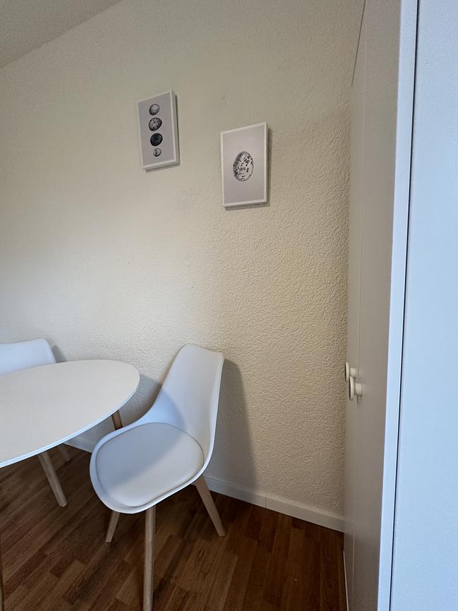 Bild 8 Schönes Appartement 19 Minuten nach BN Zentrum - mit Balkon, renoviert, möbliert