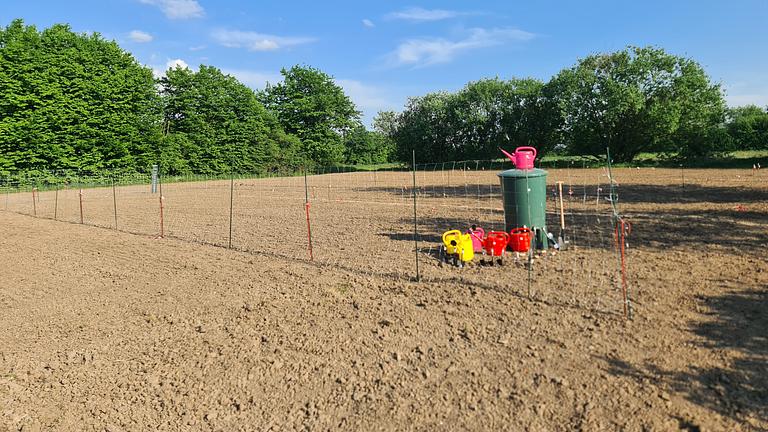 Gemüse Garten Saisongarten in Münster pachten - günstig in Toplage