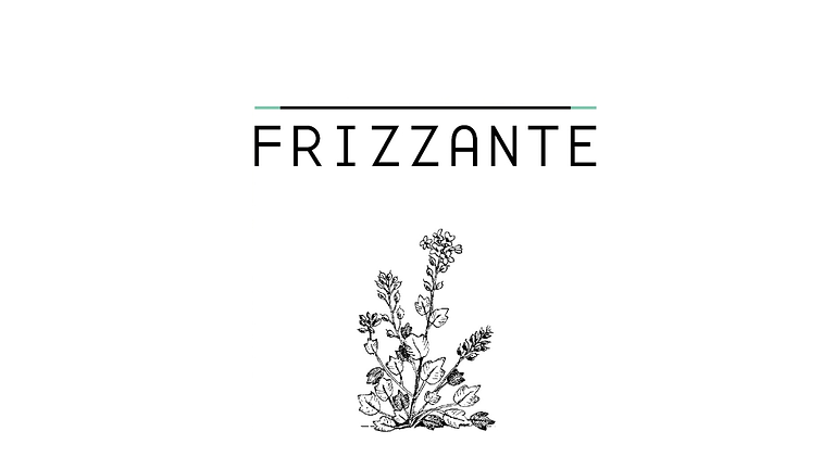 DJ Frizzante ~ Hochzeit, Fest ~ Balkan, Swing, Latino, Funk, Pop