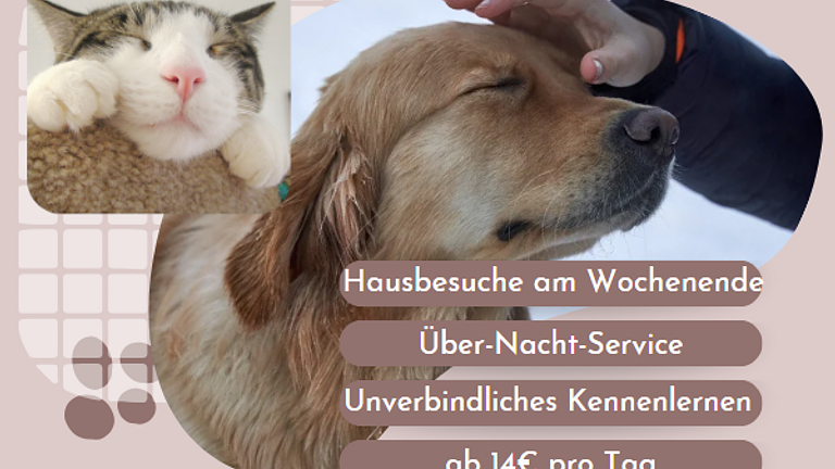 Pet Sitter Service, Katzen, Hunde & Kleintiere