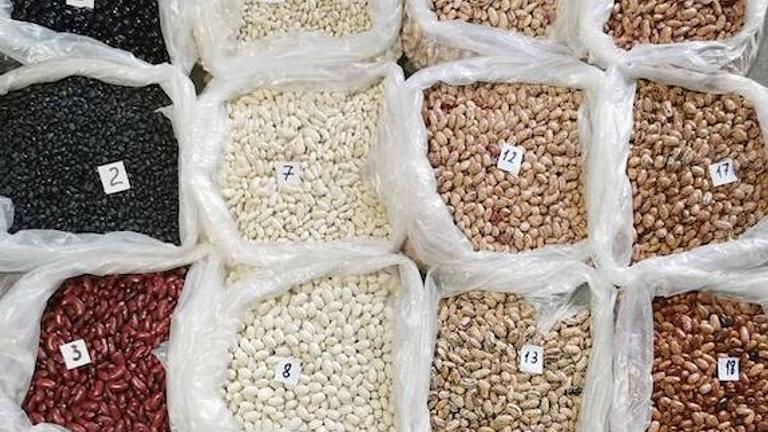 Beans from Ukraine. Various varieties in assortment