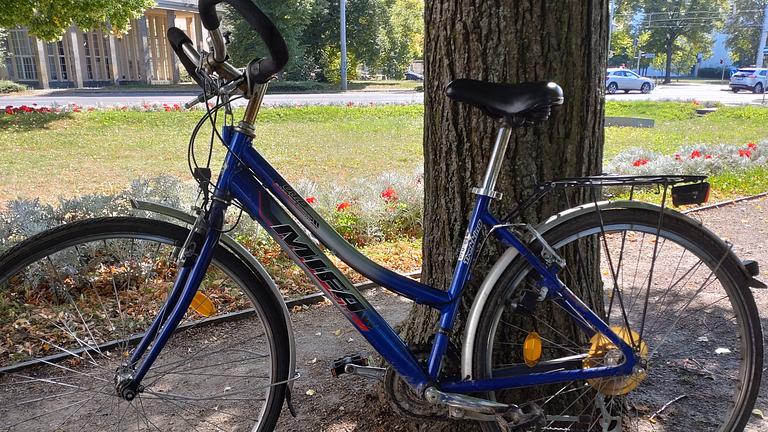 2 gute gebrauchte Fahrräder abzugeben. + SEAD/ VW Caddy= ein Hundefänger.