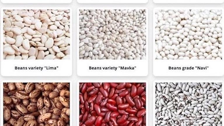 High-quality beans of various varieties