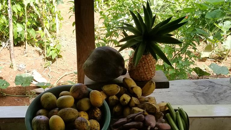 Haus mit Bananengarten in DomRep zu verkaufen